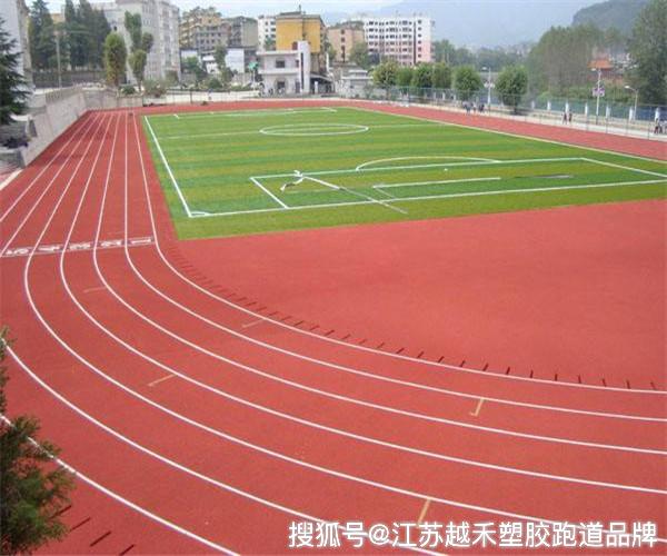 天博官网新国标塑胶跑道中国塑胶跑道十大名牌中国塑胶跑道品牌排行国产EPDM品牌(图2)