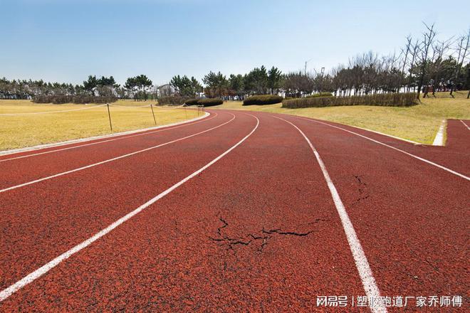 天博体育全塑型塑胶跑道：价格背后的秘密与质量追求(图3)