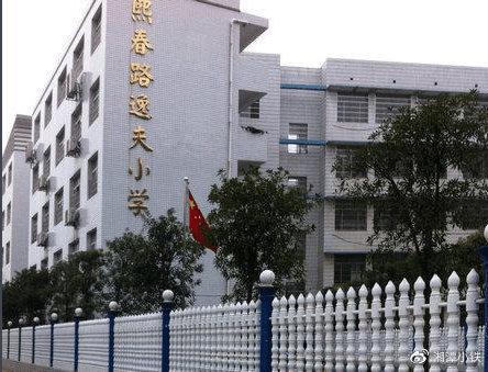 天博官网最新和2023（历届）最新湘潭市小学榜单湘潭市重点小学名单(图12)